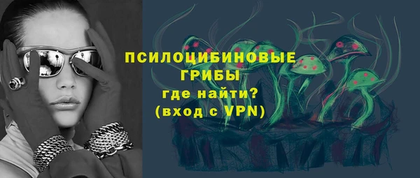 кристаллы Ельня