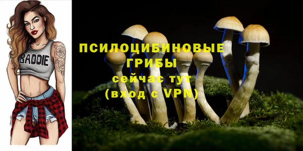 кристаллы Ельня