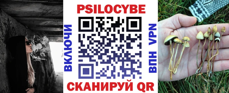 Купить  Мирный  Псилоцибиновые грибы Cubensis 