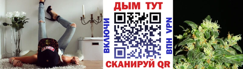 Купить где  Мирный  Бошки Шишки OG Kush 